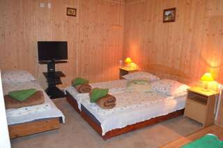 Проживание в семье Chowańcówka Поронин Трехместный номер с собственной ванной комнатой вне номера-3